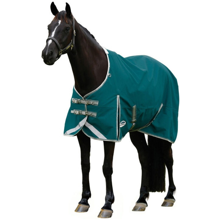 2025 Weatherbeeta Comfitec Plus Dynamic II Standard Neck Lite 1006913